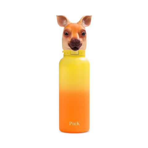 PIEK Kangaroo Water Bottle, 650ml, Sunset Gradient, Front View