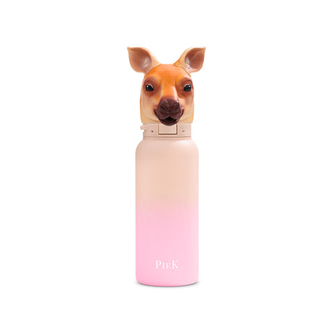 PIEK Kangaroo Water Bottle, 450ml, Paradise Gradient, Front View