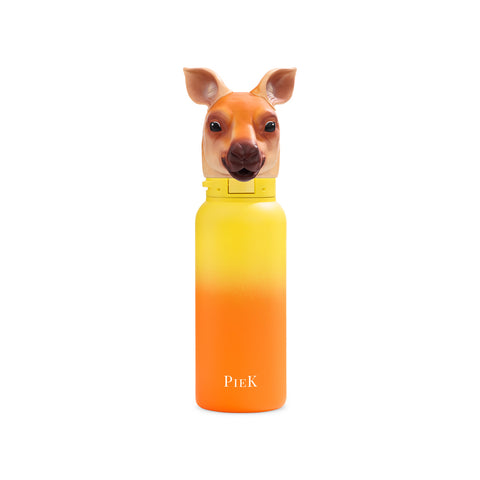 PIEK Kangaroo Water Bottle, 450ml, Sunset Gradient, Front View